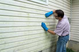 Best Siding Painting and Refinishing  in Kingwood, WV